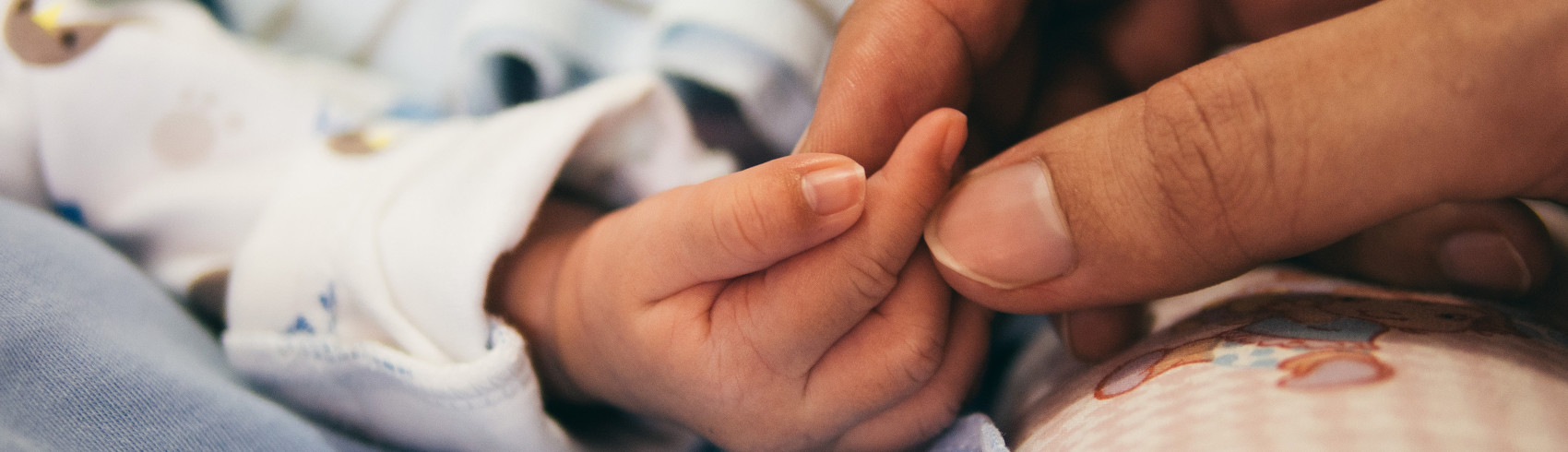 An orphaned girl finds an adoptive family Banner Image